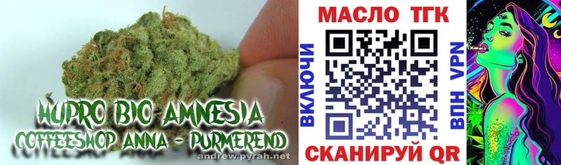ТГК Wax  Заполярный 